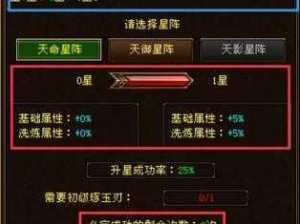 天龙八部3D伙伴升星攻略详解：进阶方法与策略解析