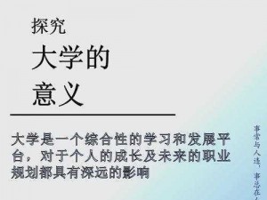 探索人生之旅：壹生玩乐的无限魅力与深度简介