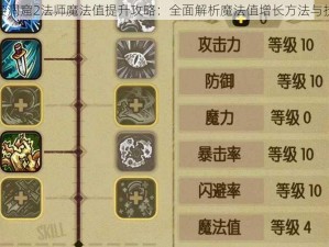 贪婪洞窟2法师魔法值提升攻略：全面解析魔法值增长方法与技巧