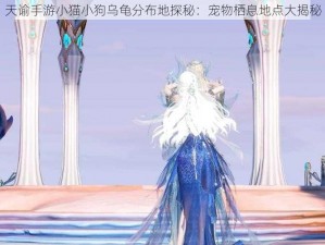 天谕手游小猫小狗乌龟分布地探秘：宠物栖息地点大揭秘