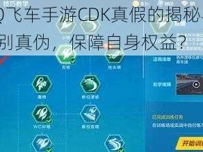 淘宝QQ飞车手游CDK真假的揭秘与探究：如何辨别真伪，保障自身权益？