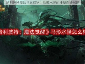 哈利波特魔法世界探秘：马形水怪的神秘面纱揭晓