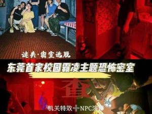 密室逃脱：毒礼的神秘体验及亮点剖析