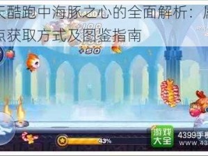 天天酷跑中海豚之心的全面解析：属性特点获取方式及图鉴指南