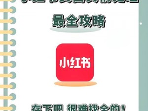 《白猫计划》——伙伴养成攻略手册：全面解析与实战策略