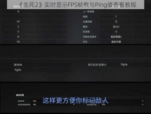 《生死2》实时显示FPS帧数与Ping值查看教程