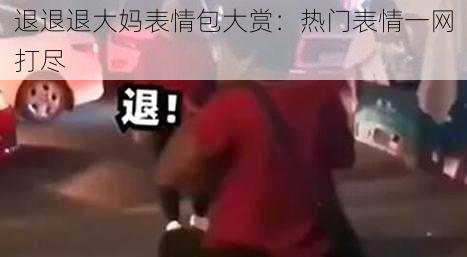 退退退大妈表情包大赏：热门表情一网打尽