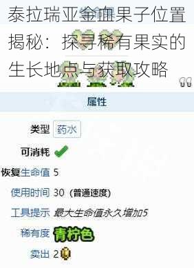 泰拉瑞亚金血果子位置揭秘：探寻稀有果实的生长地点与获取攻略