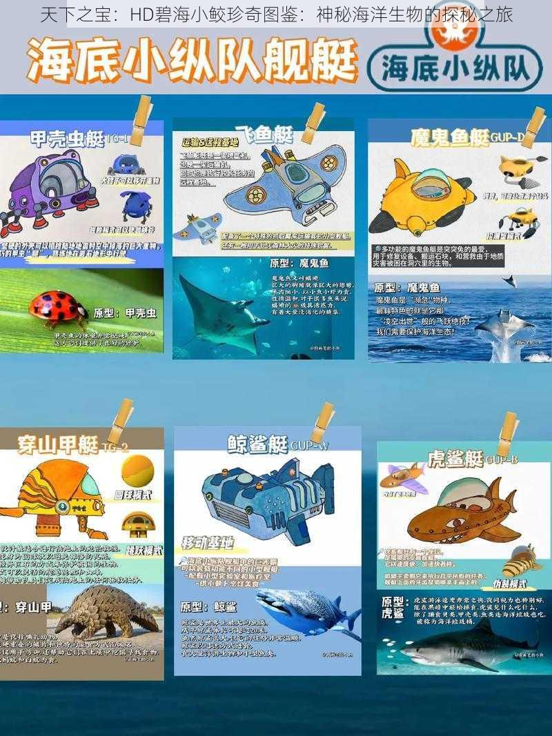 天下之宝：HD碧海小鲛珍奇图鉴：神秘海洋生物的探秘之旅