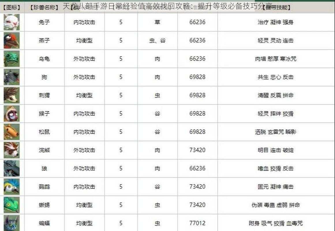 天龙八部手游日常经验值高效找回攻略：提升等级必备技巧分享