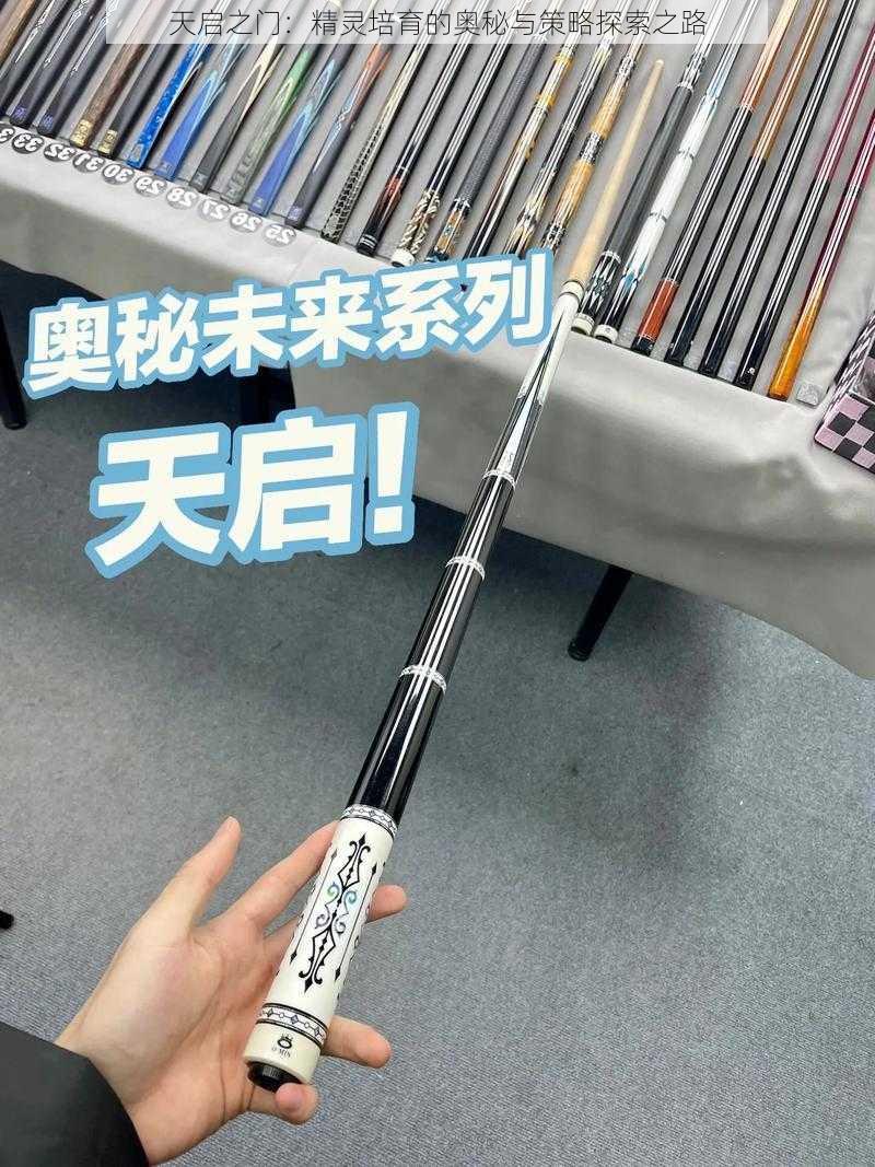 天启之门：精灵培育的奥秘与策略探索之路