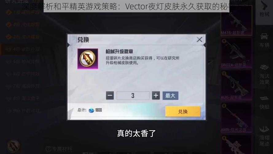 深度解析和平精英游戏策略：Vector夜灯皮肤永久获取的秘密方法