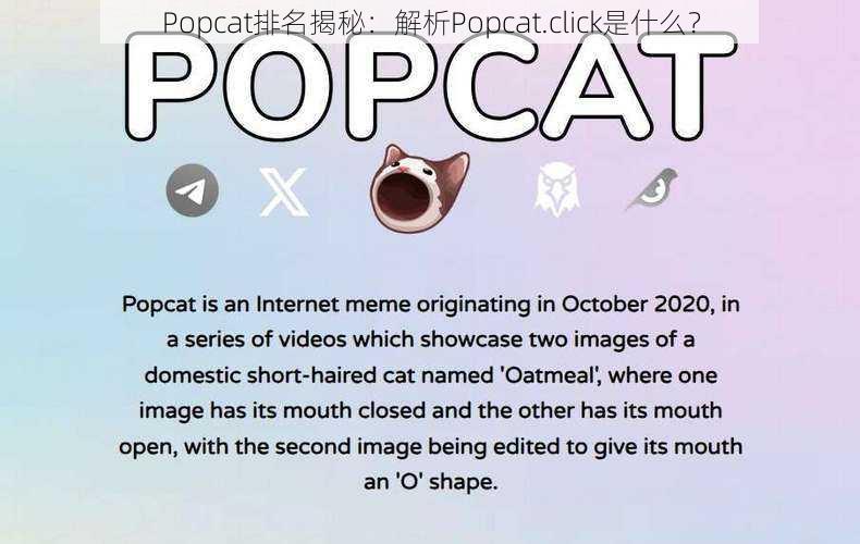 Popcat排名揭秘：解析Popcat.click是什么？