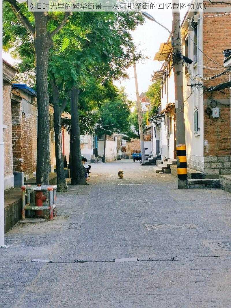 《旧时光里的繁华街景——从前那条街的回忆截图预览》